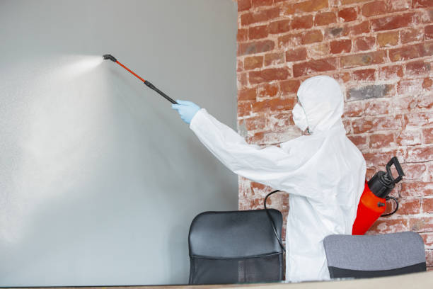 Best Industrial Mold Remediation  in Lumberton, MS