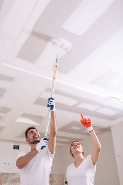 Best Environmental Consulting for Mold Prevention  in Lumberton, MS