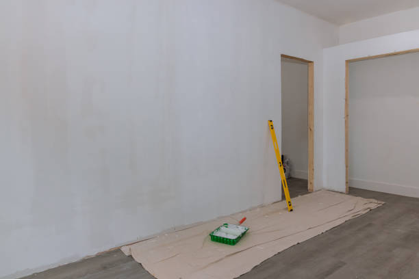 Best Attic Mold Removal  in Lumberton, MS