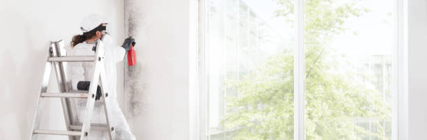 Best Commercial Mold Inspection  in Lumberton, MS