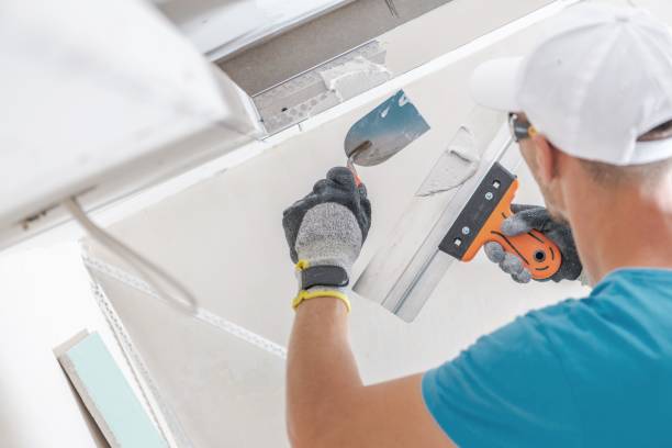 Mold Odor Removal Services in Lumberton, MS